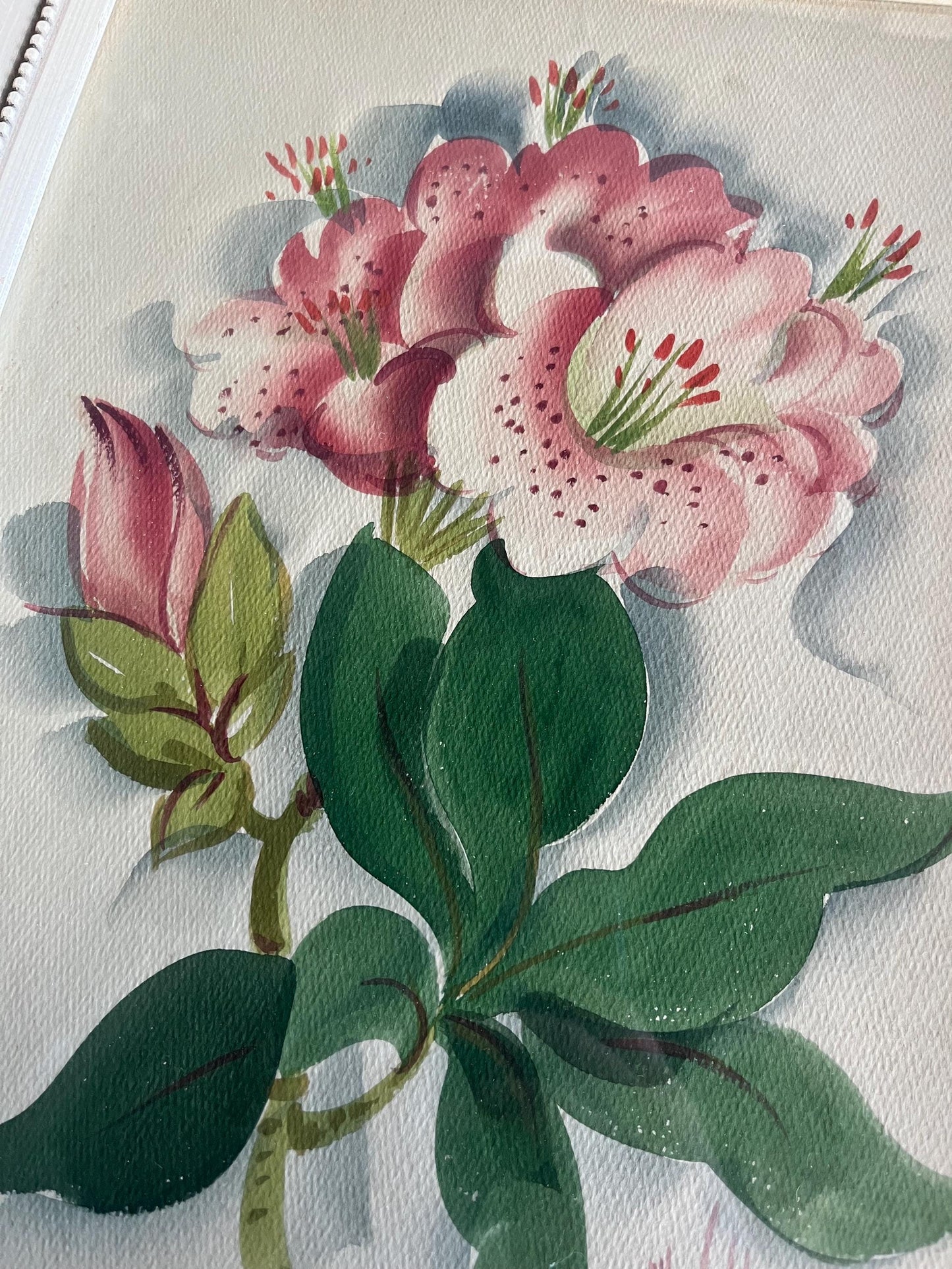 Wonderful Pair of Vintage Framed Floral Paintings Signed by Artist