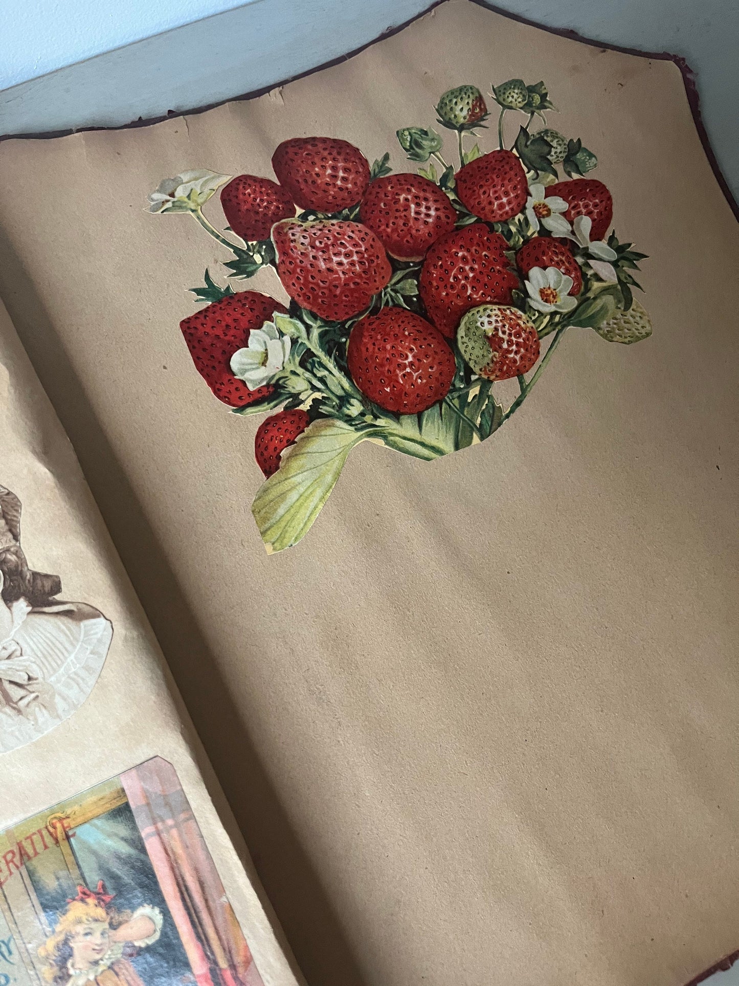Victorian trade cards scrapbook