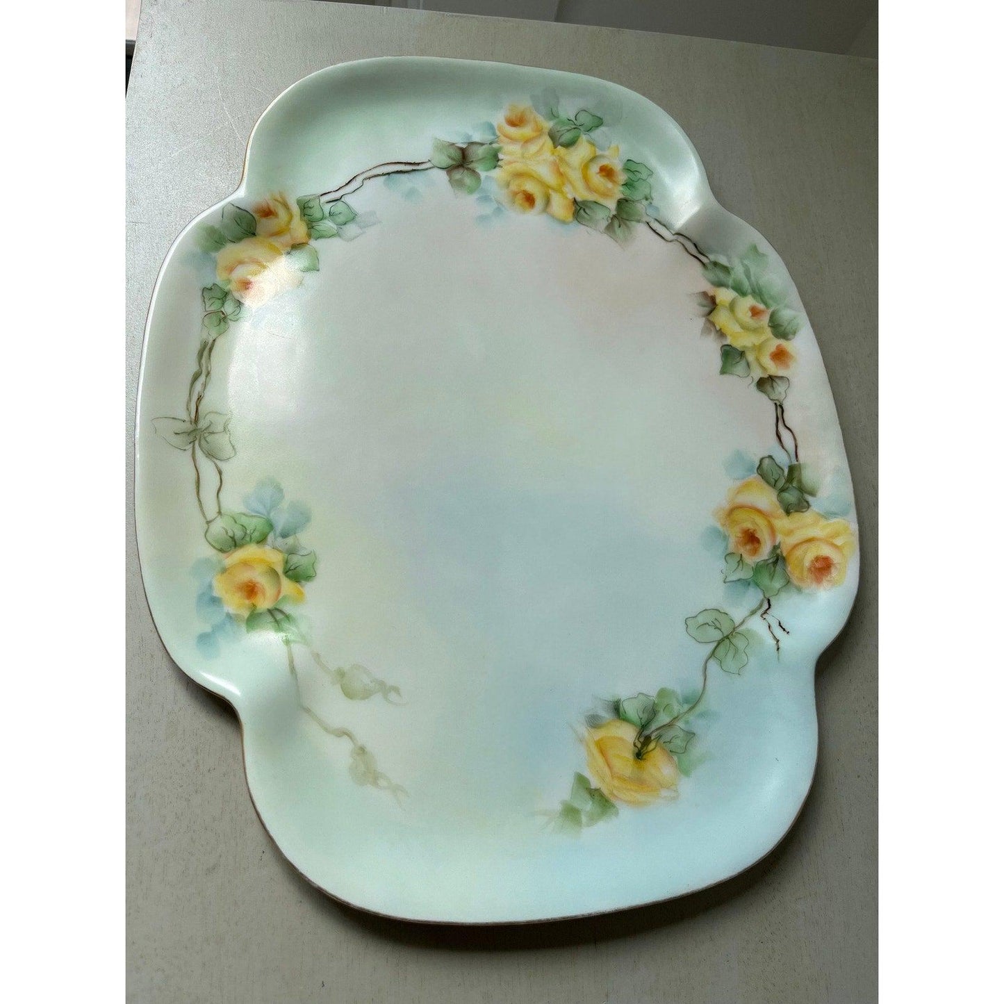 Theodore Haviland early 20th century Limoges France hand decorated platter